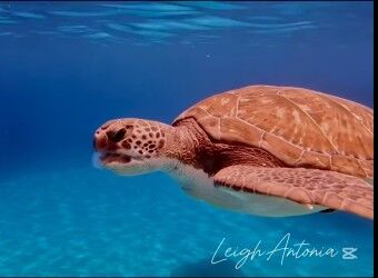 72b381a9-4f89-49c1-af09-7e4e43593eb0