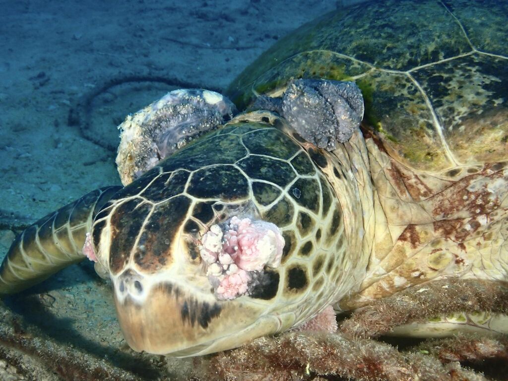 a28a99ef-0782-404e-b16f-fb1e5bb4f59e