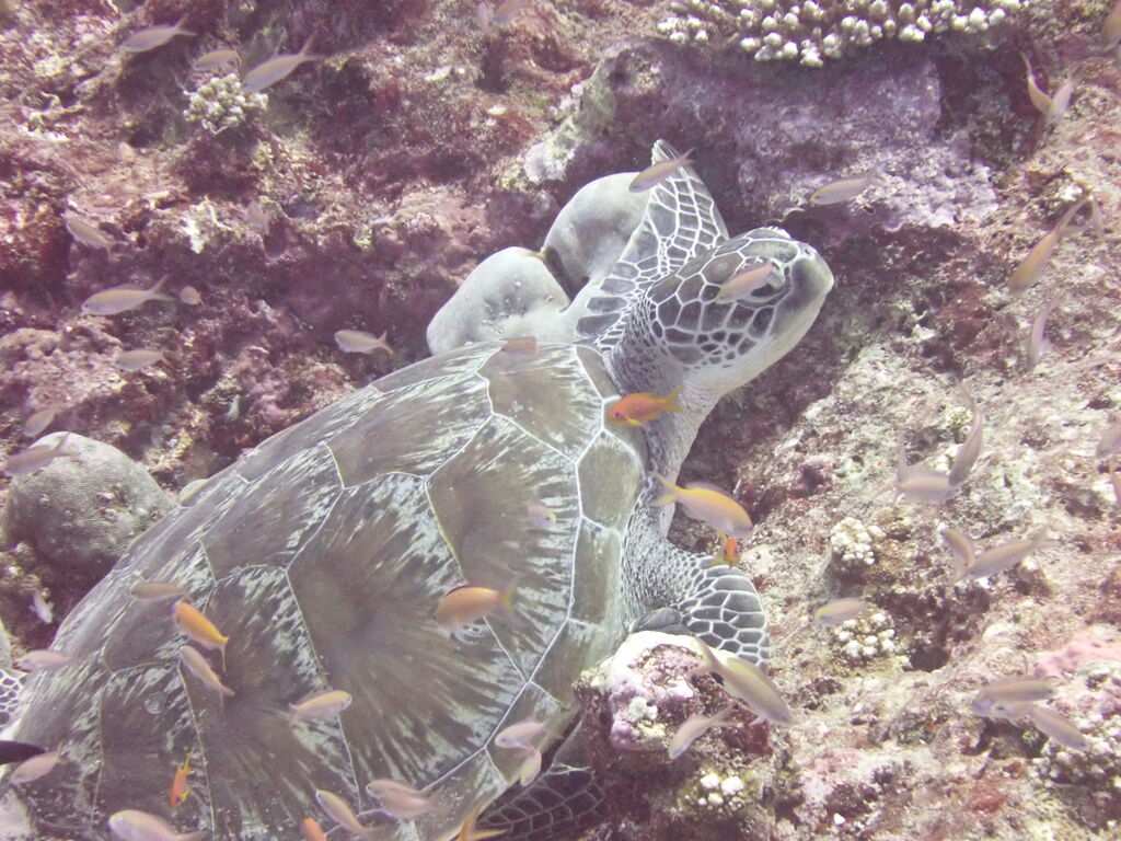 32266876-4e72-453c-8a9e-efa76c09dd41