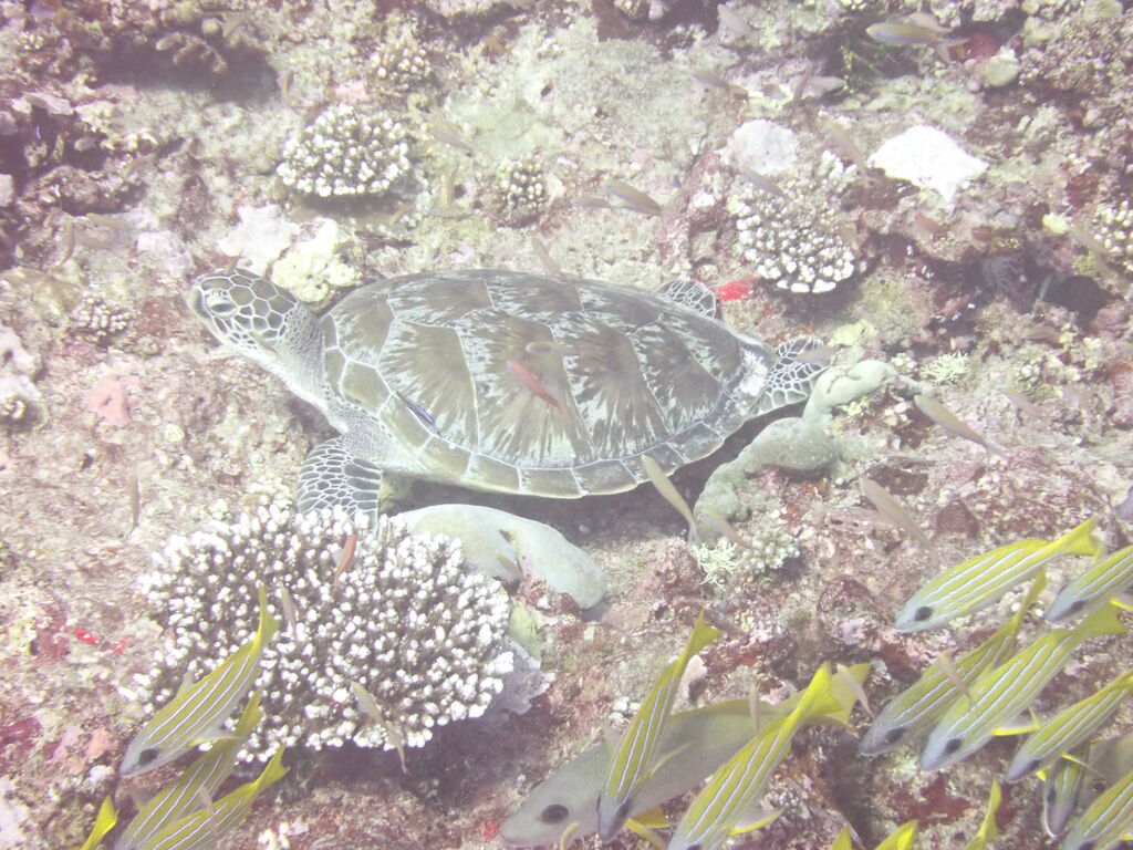 32266876-4e72-453c-8a9e-efa76c09dd41