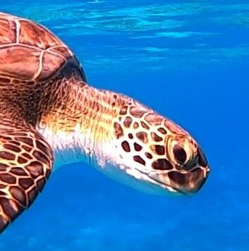 d61f1c1a-1842-4aa3-85a2-2ac0c4dc51d2