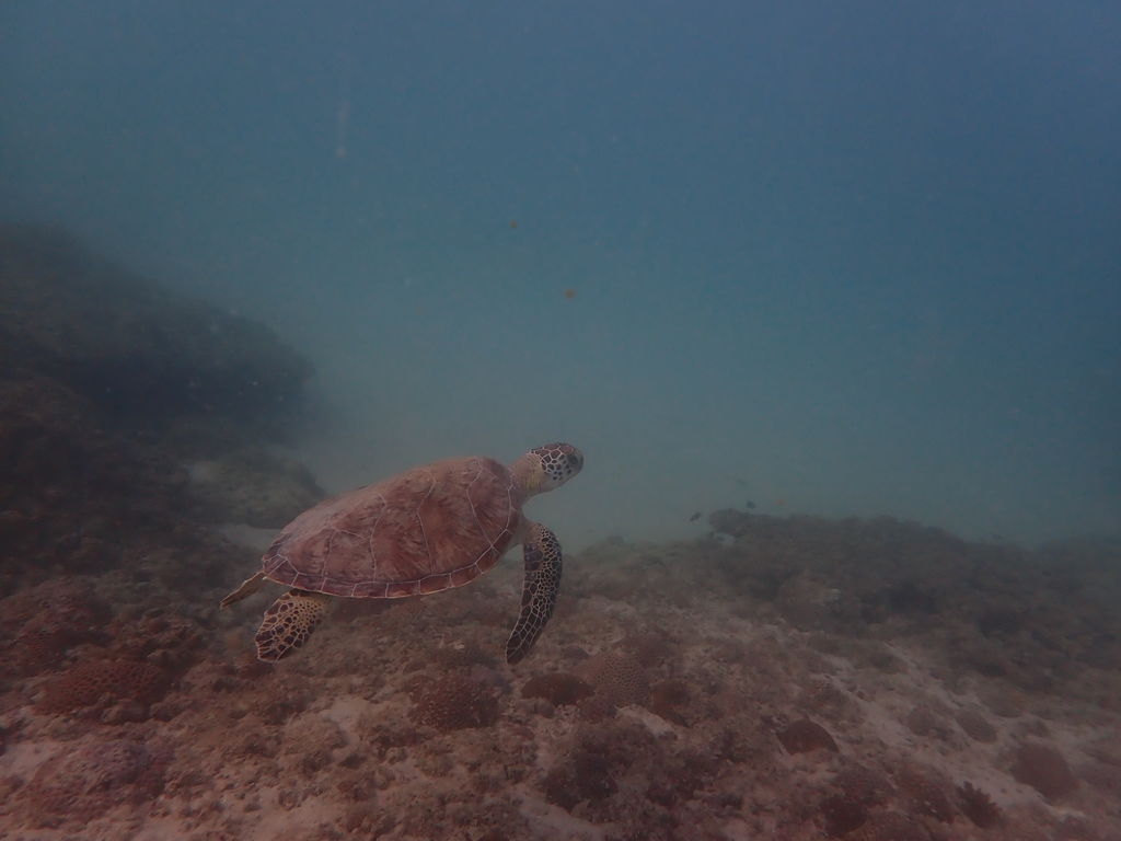 ea660ee7-f223-4719-97ab-30e808e582ab