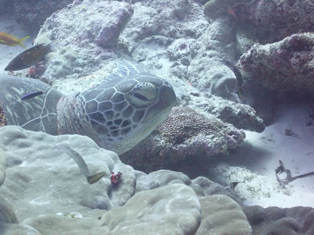 e4465be5-4460-48b9-97f6-d887397a9e88