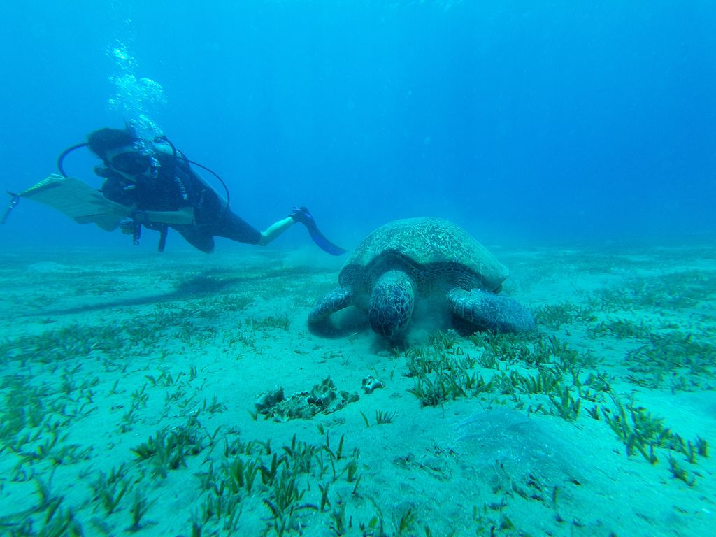 46e9aaf4-5ad1-4927-b019-d8ee006e609e