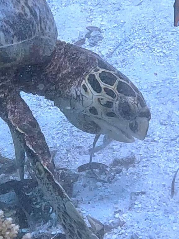 4ff065c4-f931-44f0-a56a-5ecccaa26fad