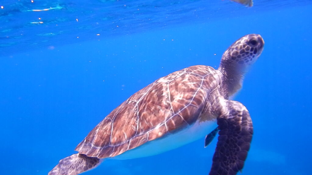 1038da46-3935-4b87-81ab-f10df8d1530c