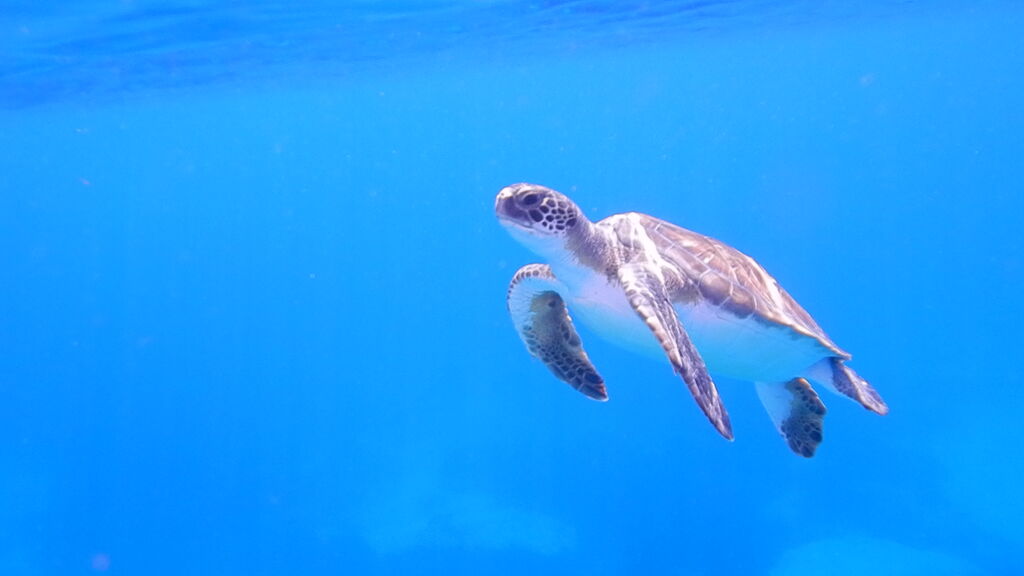 1038da46-3935-4b87-81ab-f10df8d1530c