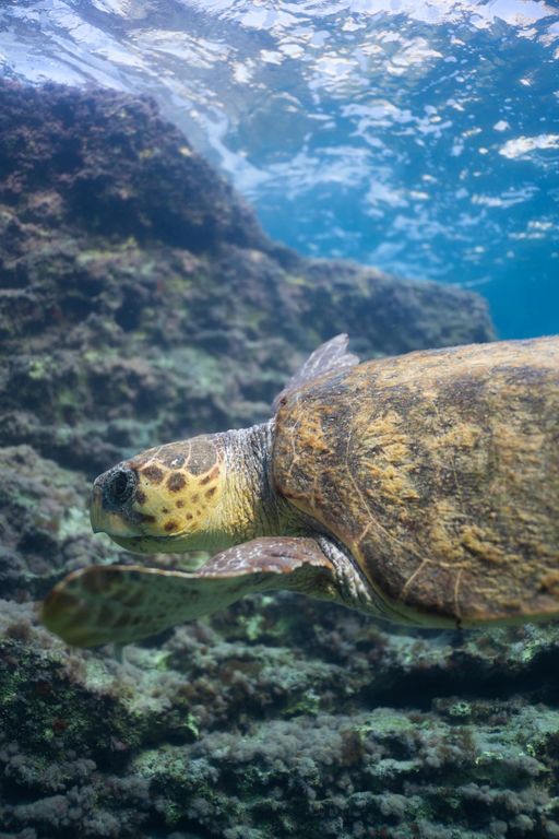 d354301a-5081-40b5-a95a-d8e20ea46565