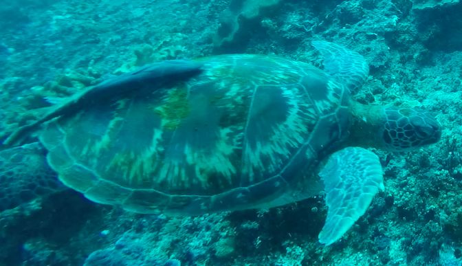 0e22ec1a-7013-4ced-a080-ac06a944f038