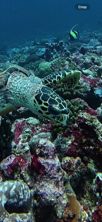 42fce9b2-4e38-4497-a8fb-0eb3088f5710