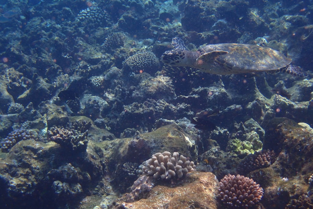 b4a3a5f2-0f1c-4900-a2e4-84628932ac9f