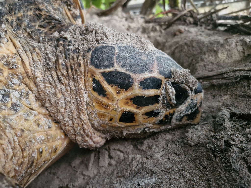 aa529bea-9572-4d9a-88f2-75c62a6f5846