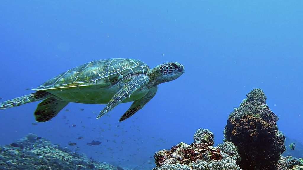 0ffc531d-9ea9-40b3-9d31-a59c315b1c74