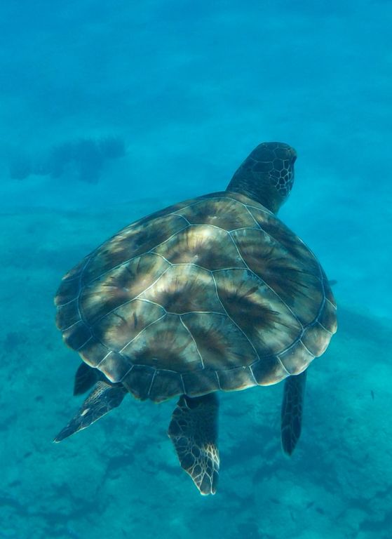 fe5230c8-050d-4278-aae0-a2c024305b24