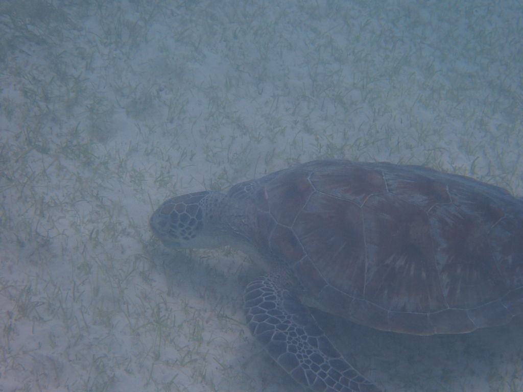 a984637d-4175-4674-810e-ac6e930ebe34