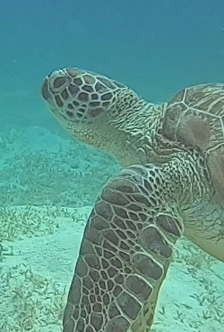 ba72692f-bad5-48b4-8b6c-a7b66a09e225