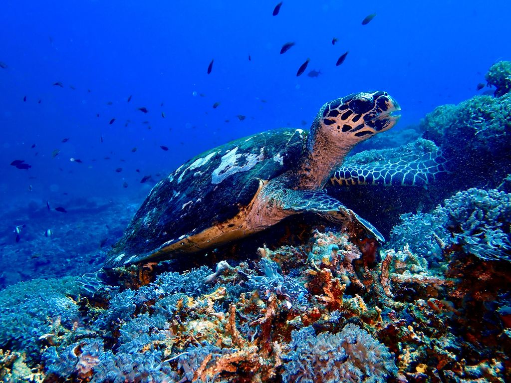 ca81cce1-098f-4e98-a8b4-f4697f78c387