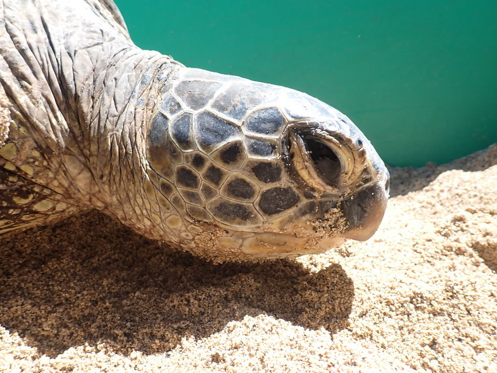 58d6d8c9-93a9-4a63-8243-5af099f6f04e