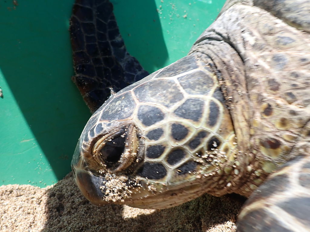 58d6d8c9-93a9-4a63-8243-5af099f6f04e