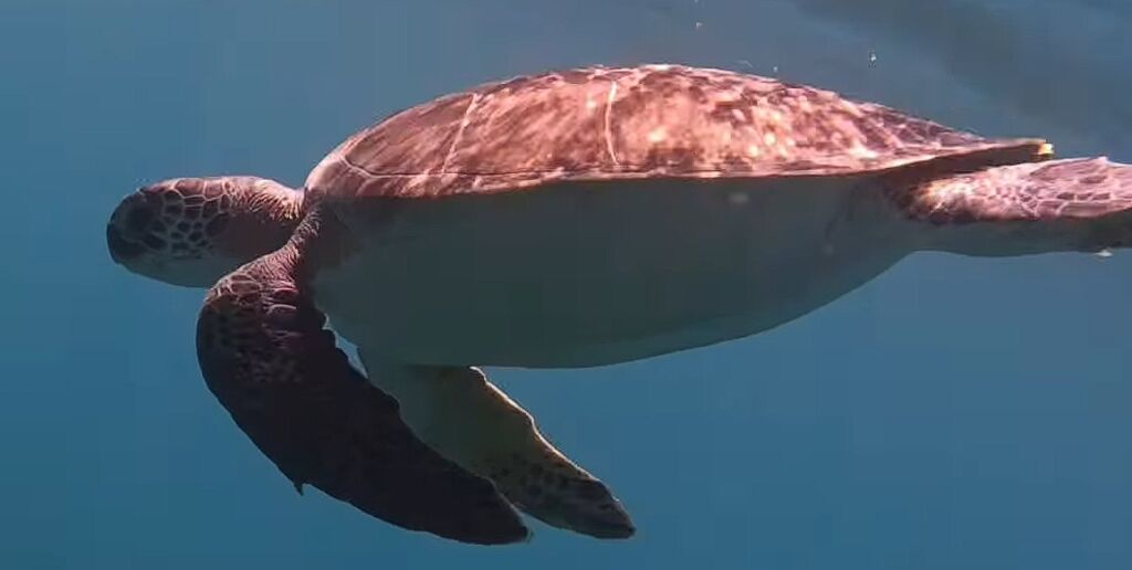 3cd81eb9-6319-4717-9688-5b78c30185de