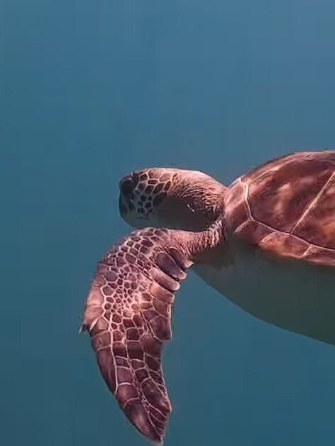 3cd81eb9-6319-4717-9688-5b78c30185de