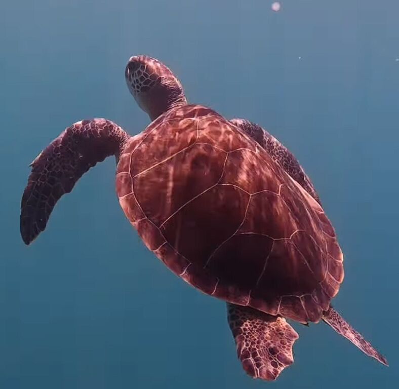 3cd81eb9-6319-4717-9688-5b78c30185de