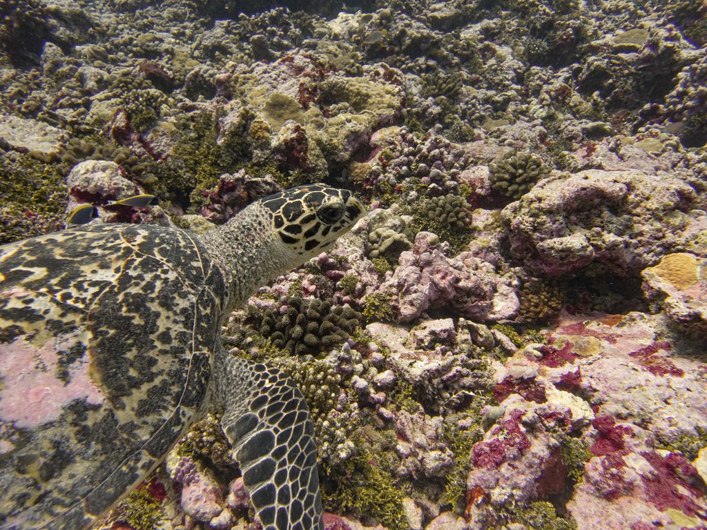 d1ba4d29-215f-474c-8cca-5c5203d35c0a