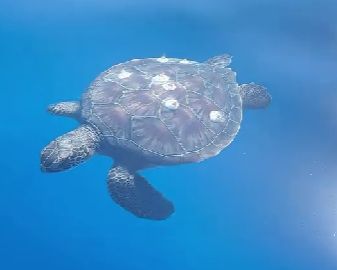 9bda85ff-d0b5-4ab6-a8e9-b1f904978e90