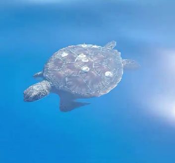 9bda85ff-d0b5-4ab6-a8e9-b1f904978e90