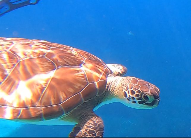 8e684fb8-6813-4607-b2b4-658cd1c05d99