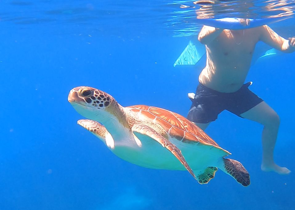 8e684fb8-6813-4607-b2b4-658cd1c05d99