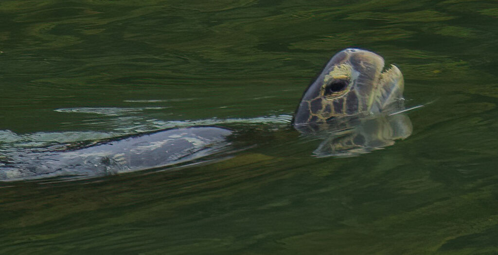 0b16043f-00bd-48ea-83ce-83b8c272869f