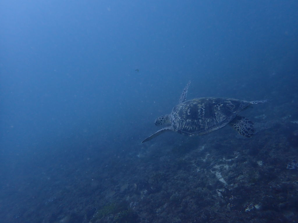 75159d35-dd42-4ad8-84d8-ea3ba67aa6f6