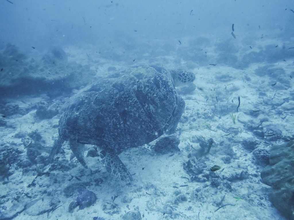 c8740ff6-8ee3-4d6c-b544-3d9a4acdcf86