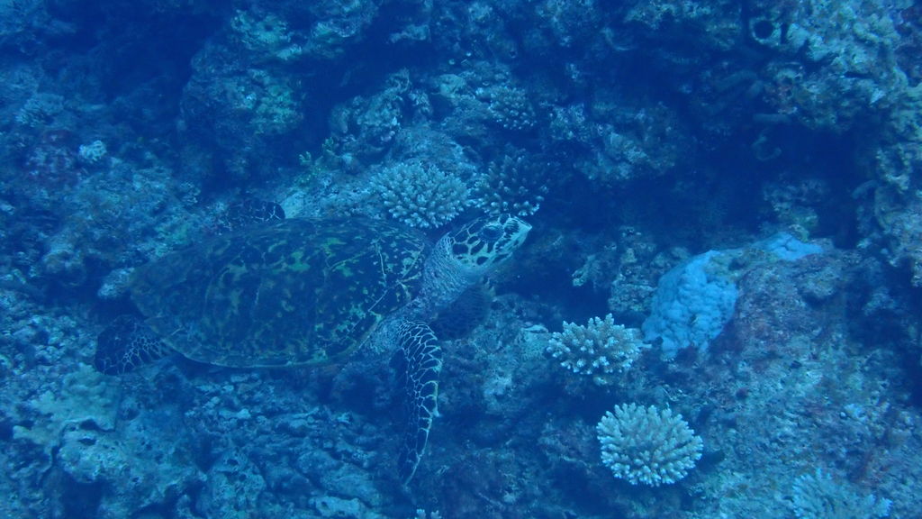 f361ff26-1e66-4c82-86e7-43d29ae699db