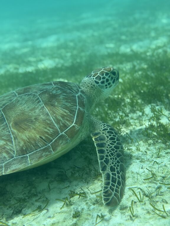 f24acb59-96ae-409c-a9df-b19b33b13eb8