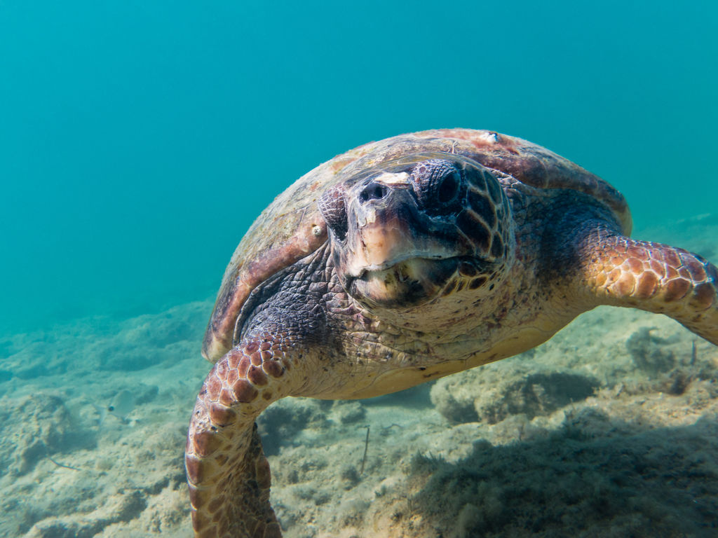 fd650082-31c6-4c4a-885e-f87e86795ade