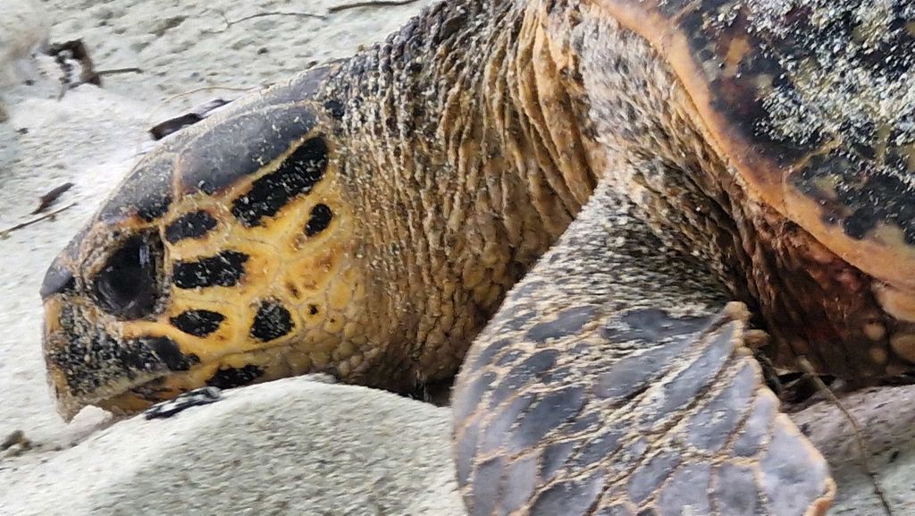 aa529bea-9572-4d9a-88f2-75c62a6f5846