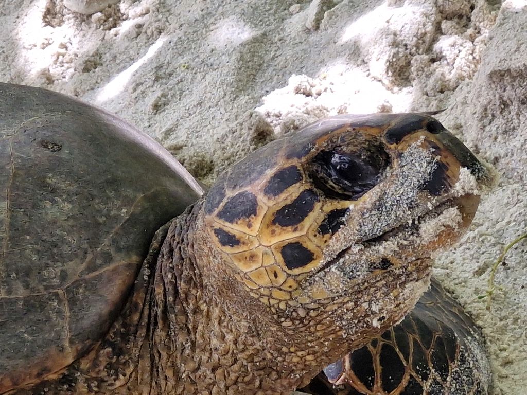 aa529bea-9572-4d9a-88f2-75c62a6f5846