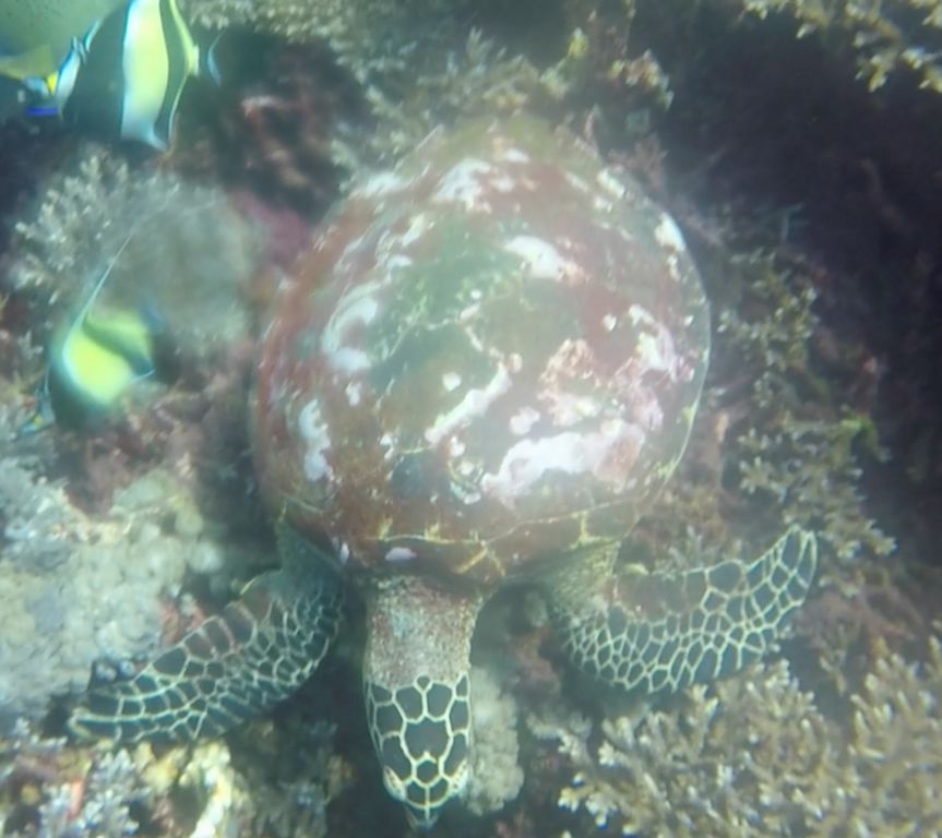 ca81cce1-098f-4e98-a8b4-f4697f78c387