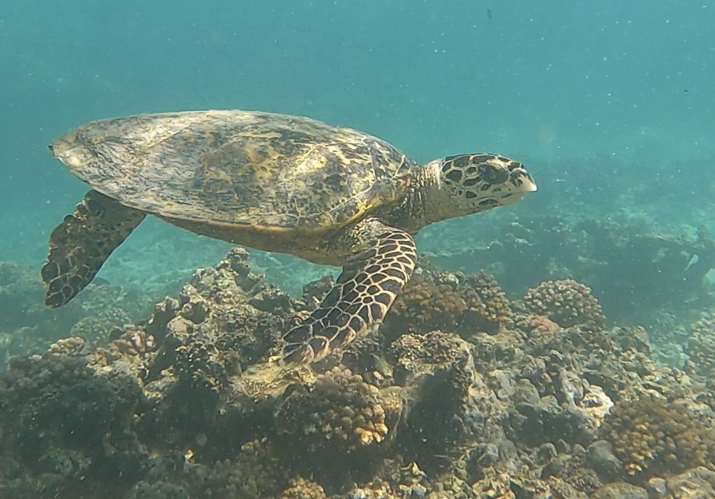 eb1c848e-0666-4b90-b27e-e63effa52d27