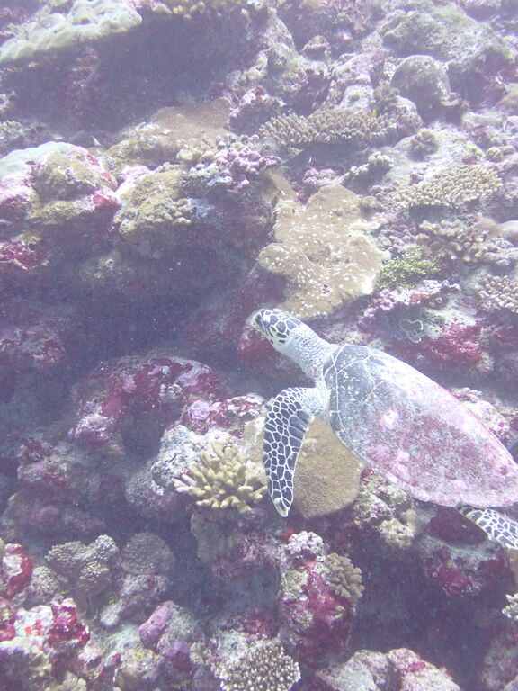 3f426941-ddd3-4bed-bda4-e6fb9b1d074f