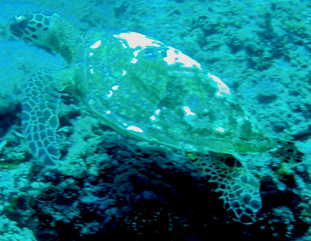 d4926700-8a0d-4e29-b3da-2591c4509505