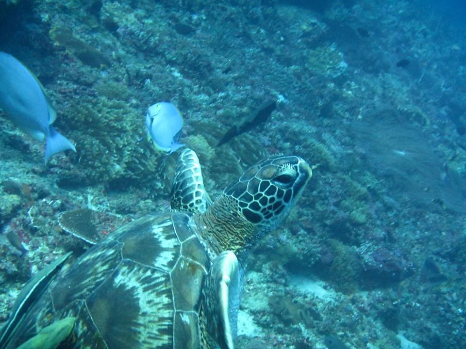 0e22ec1a-7013-4ced-a080-ac06a944f038