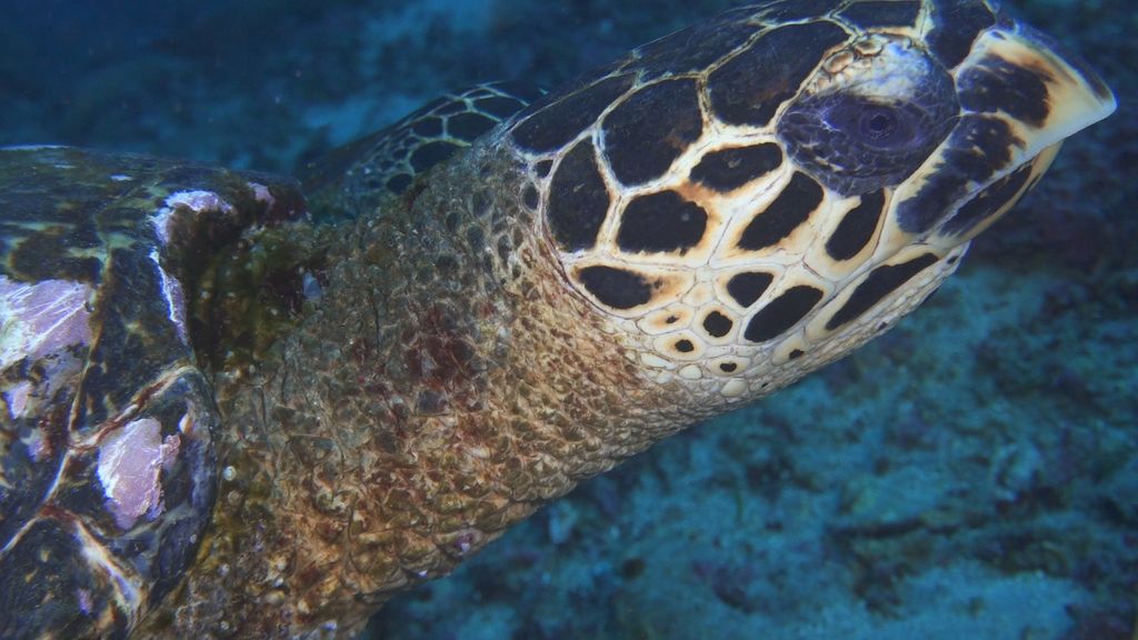 d4926700-8a0d-4e29-b3da-2591c4509505