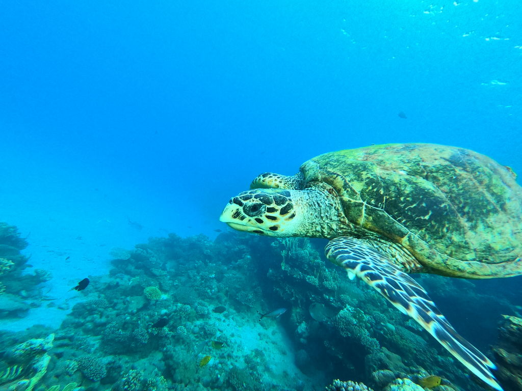 bd5a1fa3-2ef5-4113-836e-e6e4ced813fa