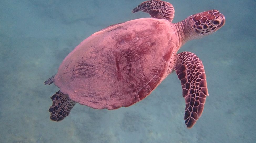 8706d23f-6b63-4192-8a6b-d9624c9e495d