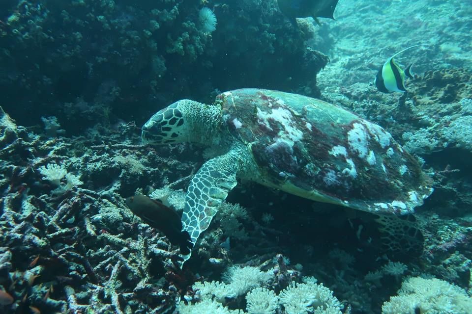 ca81cce1-098f-4e98-a8b4-f4697f78c387