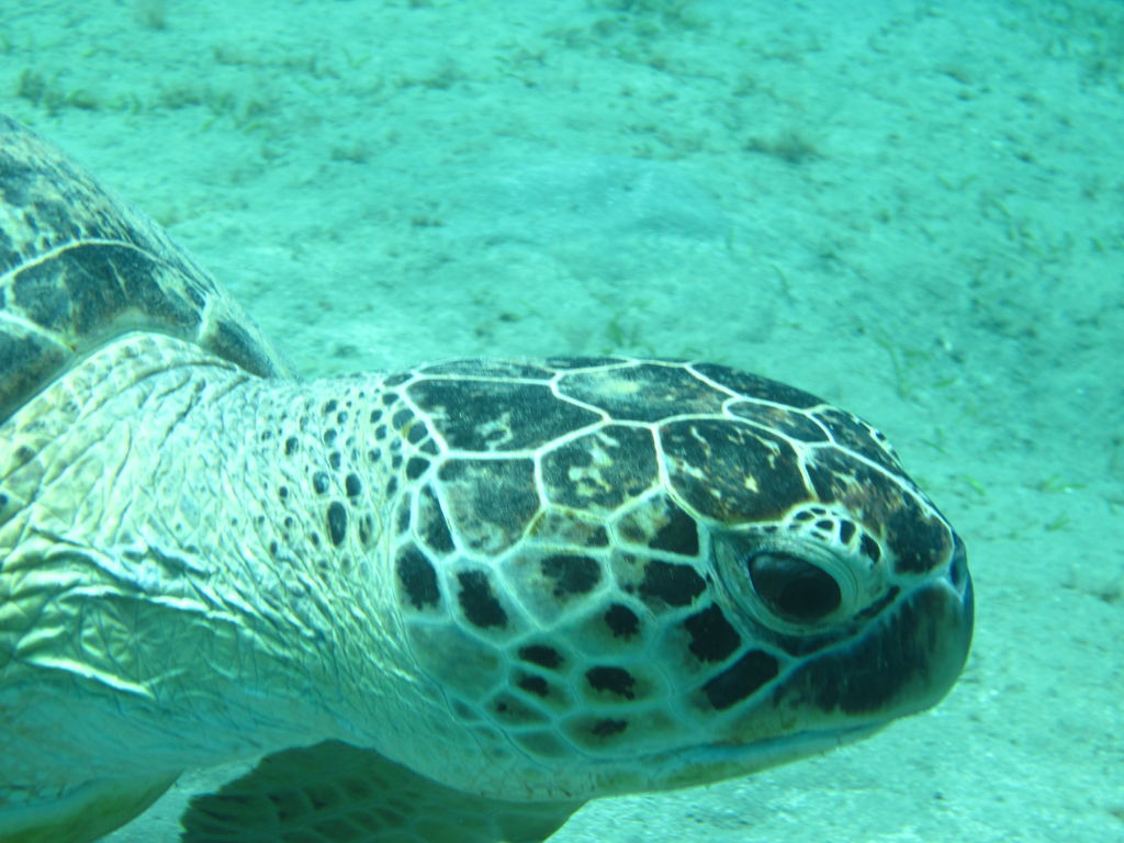 2afa4537-e177-4e31-a5a3-6daf523182a0