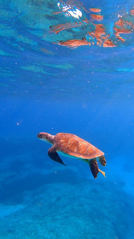 1038da46-3935-4b87-81ab-f10df8d1530c